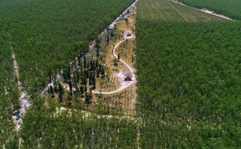 Forêt de Bouskoura-Merchich